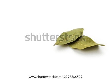 Dry bay leaves isolated on white background. copy space Royalty-Free Stock Photo #2298666529