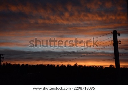 Twilight sky after sunset. Silhouettes of trees. Colorful scenery skyline.