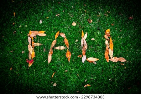 Fall written with dry leaves on the grass