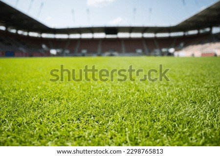 Grass at the football stadium during sunny summer day