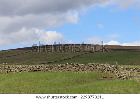 Dry stone wall crossing a green field in bright sunshine Royalty-Free Stock Photo #2298773211