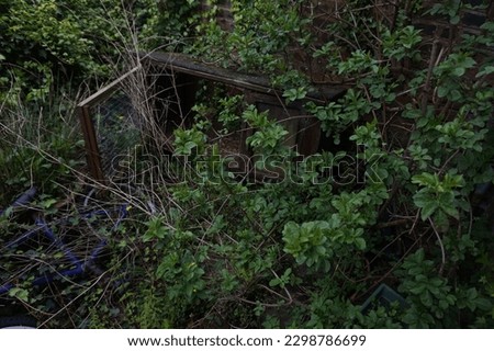 old rabbit hutch reclaimed by nature