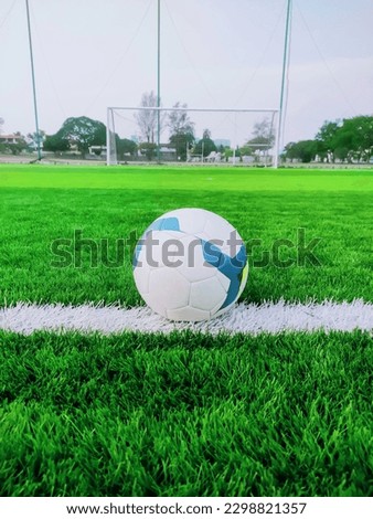 Blue and white patterned soccer ball against the background of the goal.  Sports and gaming picture themes.