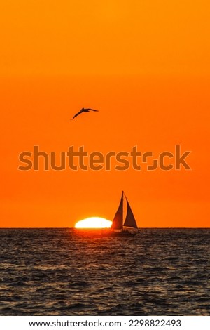 silhouette of sailboat and pelican flying at sunset with sun behind in puerto vallarta jalisco  Royalty-Free Stock Photo #2298822493