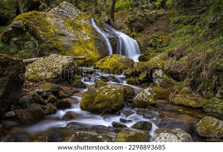 The water of the stream flows over mossy stones. Forest stream waterfall. Waterfall stream on mossy rocks. Mossy forest waterfall stream Royalty-Free Stock Photo #2298893685