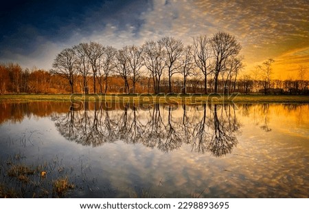 Reflection of trees in the water at sunset. Sunset reflection in water. Reflections in water at sunset. Sunset water reflection Royalty-Free Stock Photo #2298893695