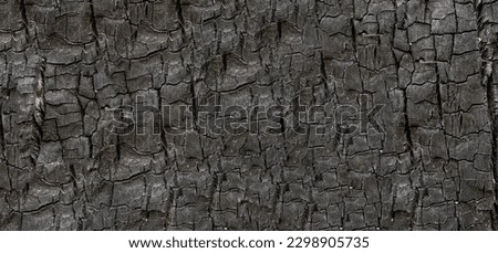 Burned wood texture. Black background, Details on the surface of charcoal, burnt wood texture, Grunge, burning fire, Dark material.