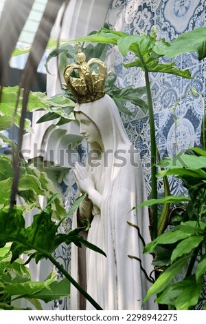 Closeup of Statue of Our lady of grace virgin Mary with natural background in the garden, Thailand. selective focus.