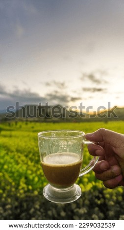 A glass cup filled with milk coffee with a background of mustard fields and mountains in the Wurung crater, Bondowoso