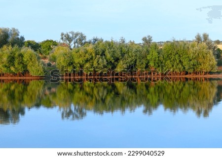 Reflection of Trees on River . Rivers Scenery with Growing Trees on the Shore Royalty-Free Stock Photo #2299040529