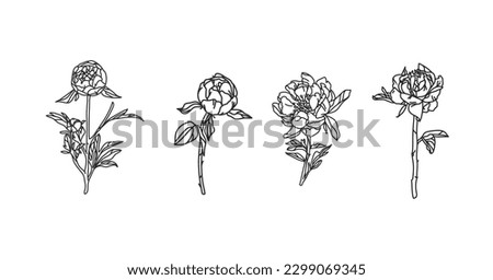 Hand drawn vector abstract graphic illustration set with elements of line flowers peonies in simple trendy minimalistic style for branding,isolated on white .Peony vector silhouette concept design.