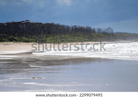 Beautiful Sandy beach on the coast in summer with waves