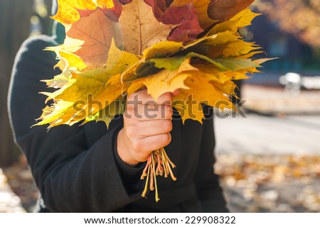 Young girl holding maple leaves in autumn park. Picture with sun flare. 