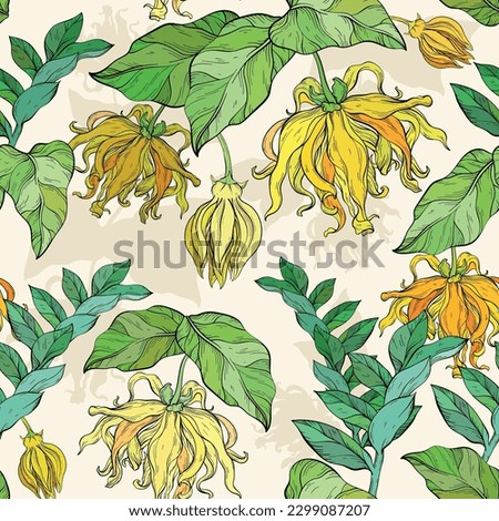 Seamless pattern with yellow ylang ylang flowers and leaves, vector clip art, botanical illustrations.