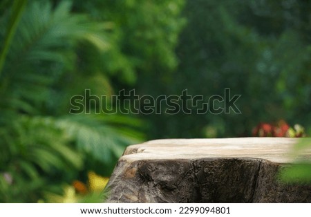 Wood tabletop podium floor in outdoors blur green leaf tropical forest nature landscape background.cosmetic natural product mock up placement pedestal stand display,jungle summer concept.