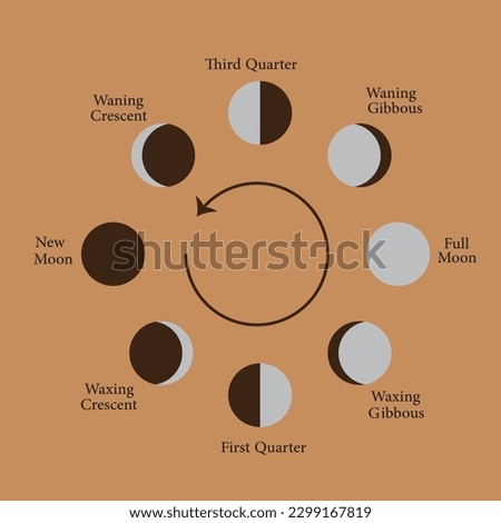 Moon  phases Icon Vector Image Illustration 