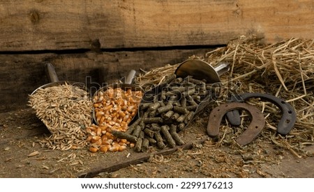 Shovel spoons with forage ingredients, and balanced for horses Royalty-Free Stock Photo #2299176213