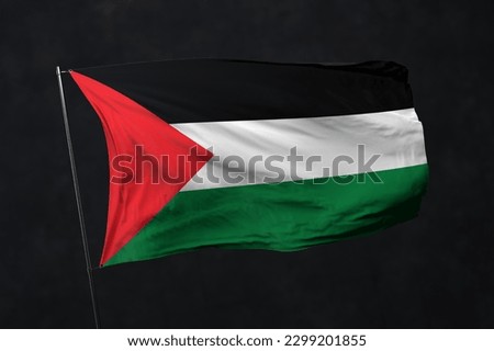 Palestine flag isolated on black background with clipping path. flag symbols of Palestine. flag frame with empty space for your text.