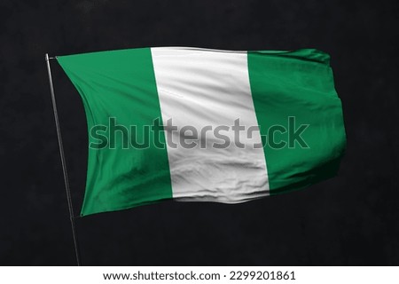 Nigeria flag isolated on black background with clipping path. flag symbols of Nigeria. flag frame with empty space for your text.