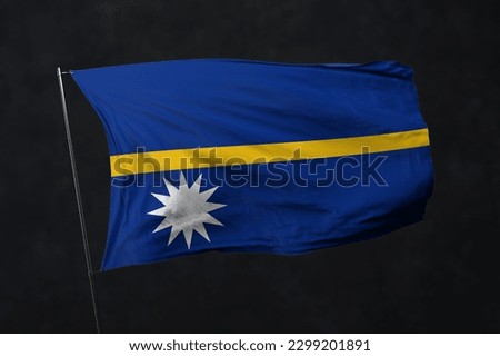 Nauru flag isolated on black background with clipping path. flag symbols of Nauru. flag frame with empty space for your text.