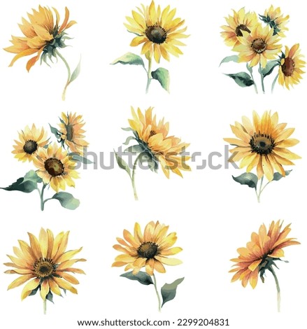 Set of watercolor sunflowers isolated on white background. Vector illustration.
