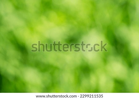 Blur technigque for Green nature bokeh from grass