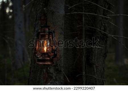 an old kerosene lamp in a dark forest