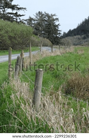 Country dirt road with a pole and wire fence and green grass and dried reeds or weeds against cloud sky.  