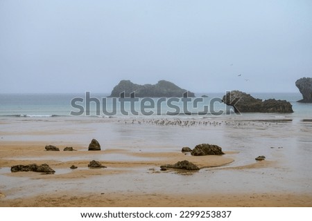 View on Playa de Palombina in Celorio village, Green coast of Asturias, North Spain with sandy beaches, cliffs, hidden caves, green fields, forests and mountains.
