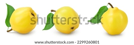 Fresh quince isolated on the white background with  full depth of field