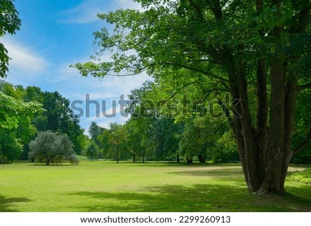 Beautiful meadow with green grass in large public park. Royalty-Free Stock Photo #2299260913