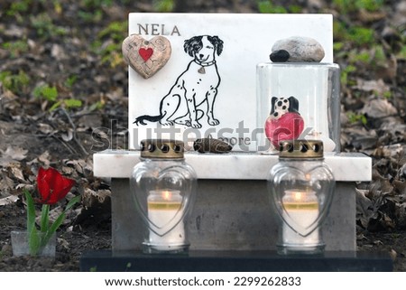 Dog's grave with candles and a red rose in a pet cemetery Royalty-Free Stock Photo #2299262833