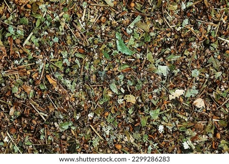 Vector illustration of dry linden flowers background. Linden for brewing tea is used in folk medicine.
 Royalty-Free Stock Photo #2299286283