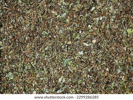 Vector illustration of dry linden flowers background. Linden for brewing tea is used in folk medicine.
 Royalty-Free Stock Photo #2299286285