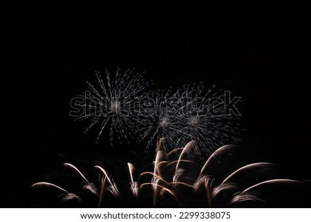 Northern Tohoku Summer Fireworks Festival