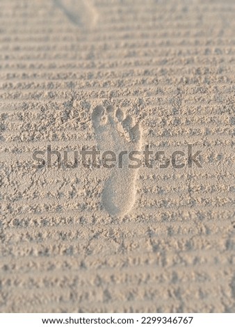foot print in the sand Royalty-Free Stock Photo #2299346767