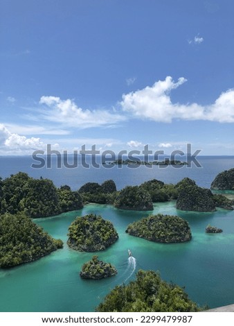 the beauty of raja ampat, one of the most beutiful island in indonesia. The most visit island. a teal ocean with blue sky, very vibrant. Best for snorkeling, speed boat, diving with baby sharks.