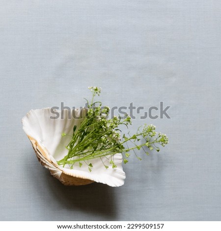 Flat lay composition with white flowers and a shell vase on a light background. Minimal floral frame, greeting card mockup. Top view. Happy mother's day, women's day, birthday or wedding. Square.