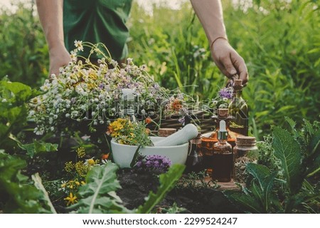 A woman collects medicinal herbs. Selective focus. Nature. Royalty-Free Stock Photo #2299524247