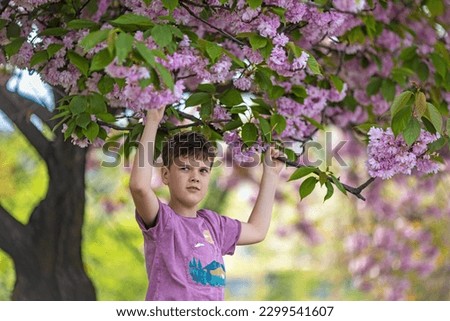Cute boy standing under a pink blooming sakura tree