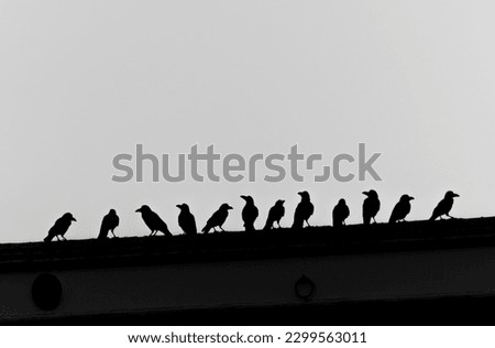 Silhouette of a flock of crows perched on the roof. Royalty-Free Stock Photo #2299563011