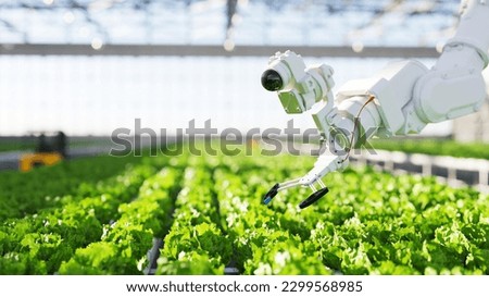 A robot is working on a lettuce farm. Royalty-Free Stock Photo #2299568985