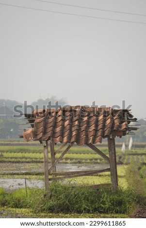 photo of a hut in the middle of a rice field to shelter farmers during the day