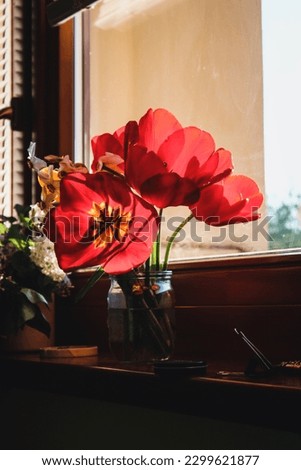 Still life with red tulips on a windowsill