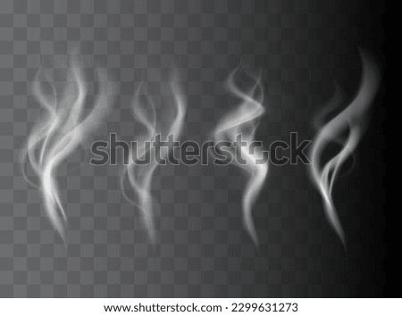 Smoke vector collection. White isolated cigarette smoke. Transparent special effect. Vector illustration.