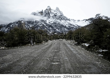 Road crossing a forest against snowcapped mountains