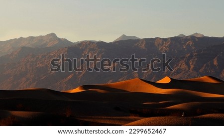Majestic sand dunes at Death Valley National Park, California. Golden sunlight casting shadows on the rippled desert landscape.