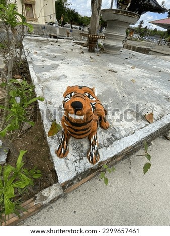 A picture of tiger kid