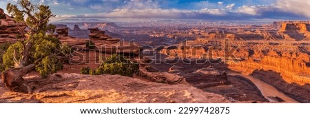 A juniper tree sits on a rock ledge over a Colorado River Gooseneck, seen from Dead Horse Point State Park, Utah. Royalty-Free Stock Photo #2299742875
