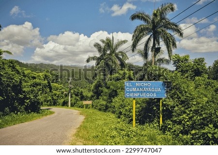 Road through a natural park in Cuba